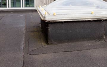 disadvantages of Port Lion flat roofs