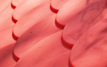 Port Lion plastic roof costs